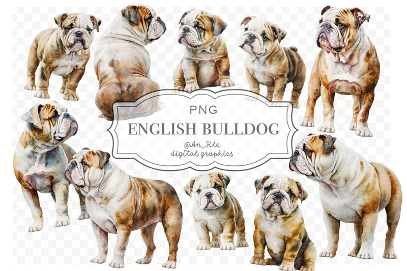 english-bulldog-vintage-watercolour