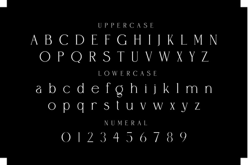 bagian-modern-ligature-serif-font