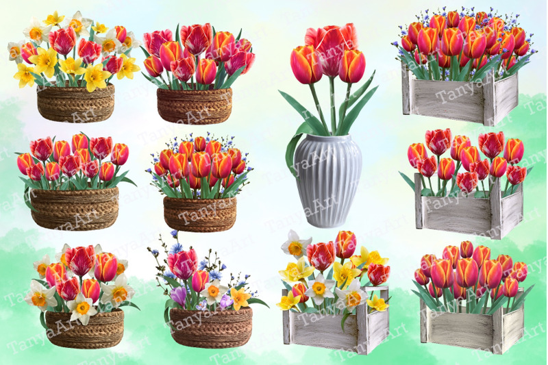 tulips-set