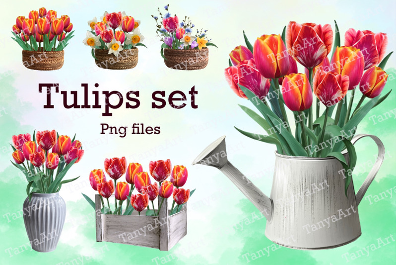 tulips-set