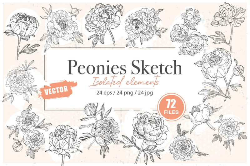 peonies-sketch-vector-illustrations