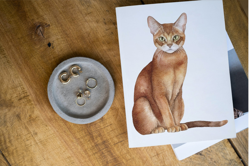 abyssinian-cats-watercolour-clipart