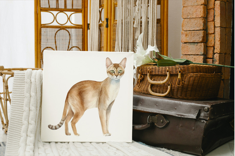 abyssinian-cats-watercolour-clipart