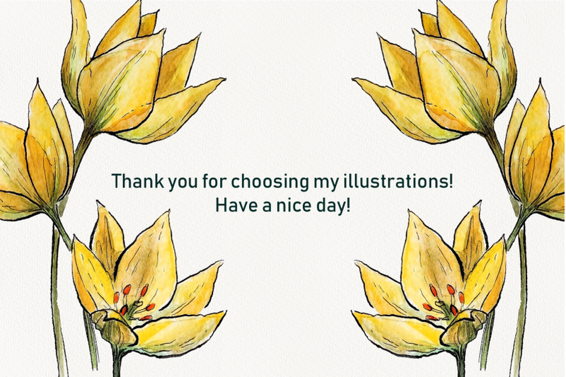 watercolor-wild-tulips-clipart-and-patterns-floral-digital-set-png