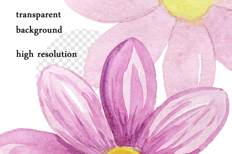 watercolor-flowers-summer-clipart-png