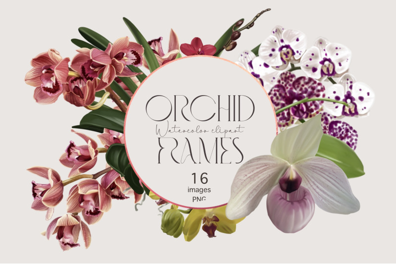 tropical-orchid-frame-watercolor-wedding-clipart-png