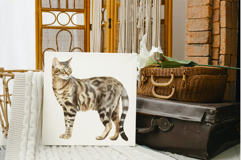 bengal-cats-watercolour-clipart