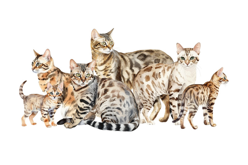 bengal-cats-watercolour-clipart