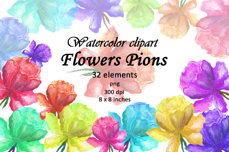 watercolor-flowers-pions-clipart-png-isolated-illustration