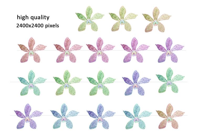 watercolor-flowers-orchid-clipart-png