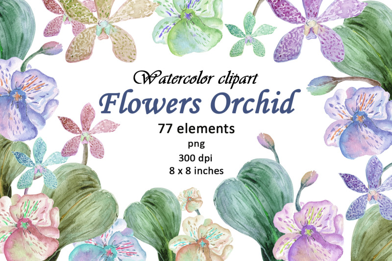 watercolor-flowers-orchid-clipart-png