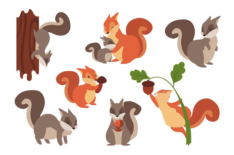 squirrel-cartoon-wild-furry-animals-playing-with-nuts-and-acorns-cli