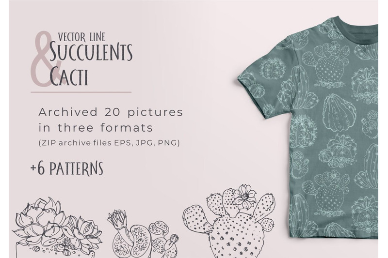 succulents-and-cacti-vector-line