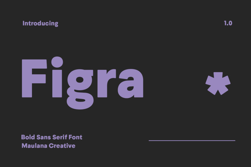 figra-sans-serif-font