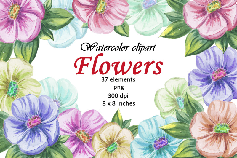 watercolor-flower-summer-clipart-png-set