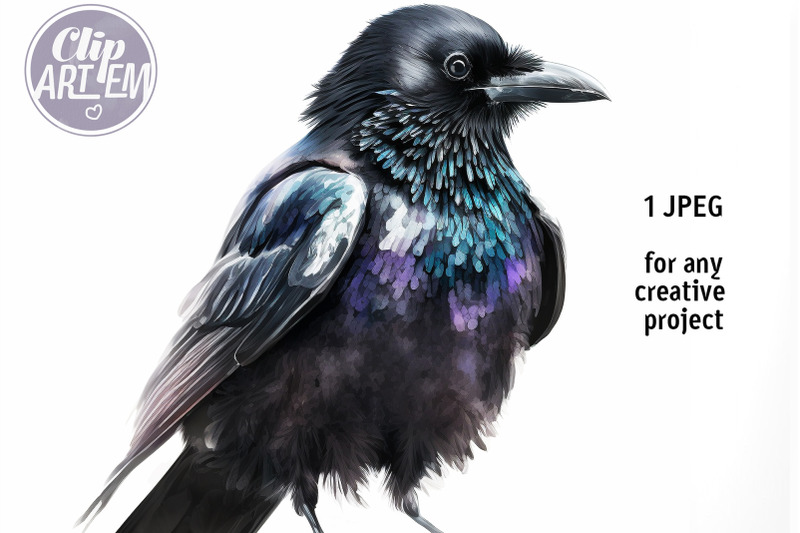 portrait-of-the-raven-bird-watercolor-jpeg-digital-image-wall-art