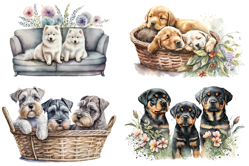 the-watercolor-dog-collection