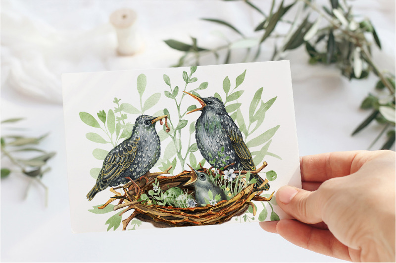 spring-starling-bird-family-home-summer-watercolor-clipart-seamless