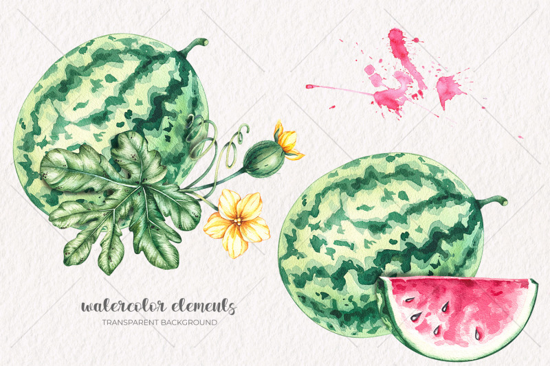 watercolor-watermelon-watercolor-clipart-png