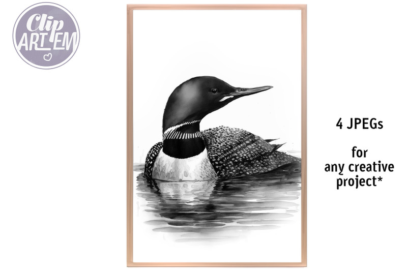 black-and-white-loons-swimming-in-the-lake-watercolor-4-jpeg-images