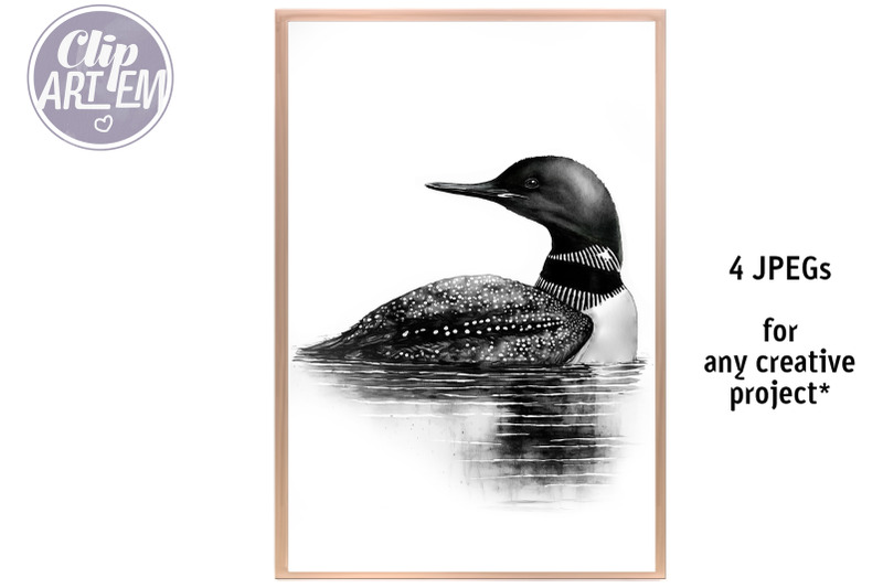 black-and-white-loons-swimming-in-the-lake-watercolor-4-jpeg-images