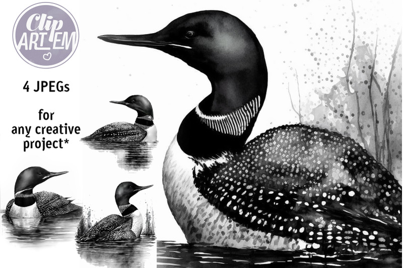 black-and-white-loons-swimming-in-the-lake-watercolor-4-jpeg-images