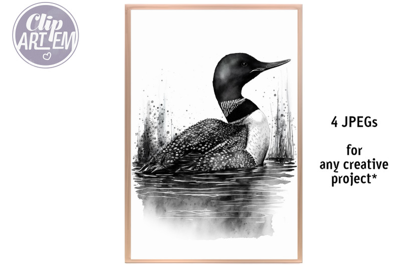 black-and-white-loons-swimming-in-the-lake-watercolor-4-jpeg-images