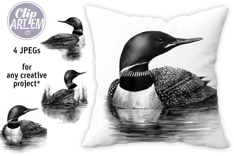 black-and-white-loons-swimming-in-the-lake-watercolor-4-jpeg-images