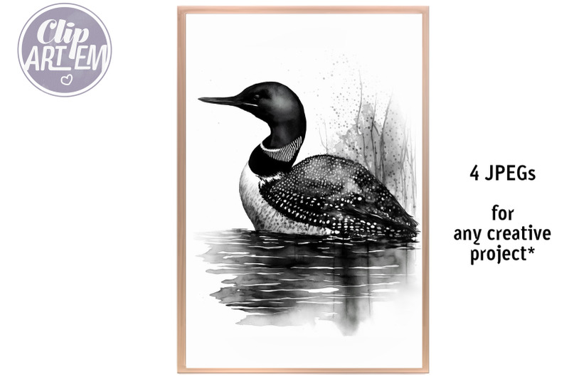 black-and-white-loons-swimming-in-the-lake-watercolor-4-jpeg-images