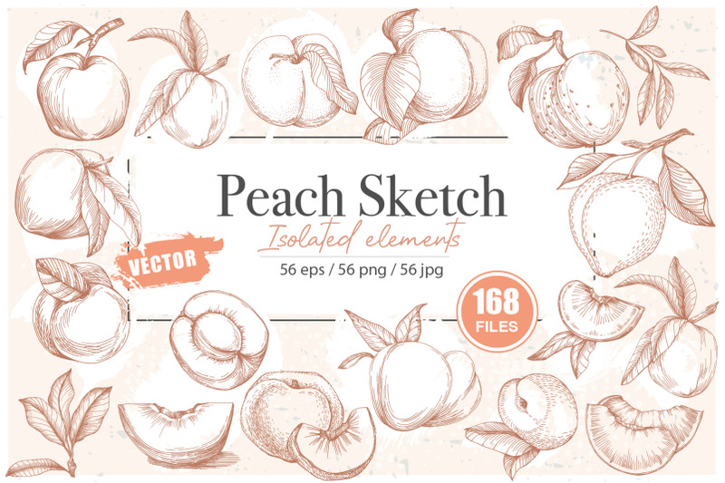 peach-sketch-illustration