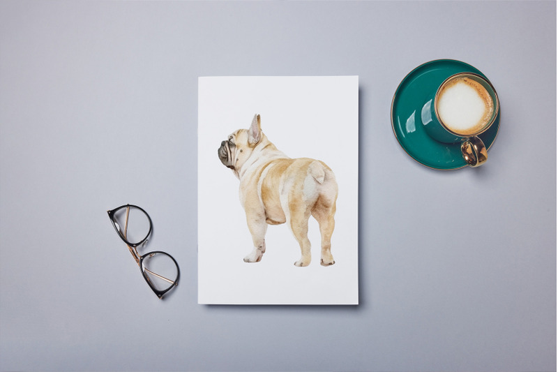 french-bulldog-clipart-png