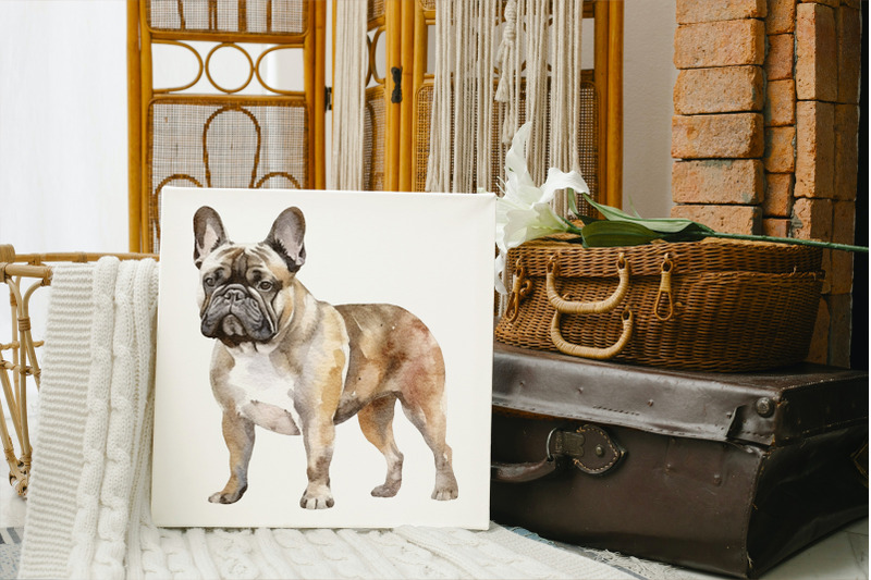 french-bulldog-clipart-png