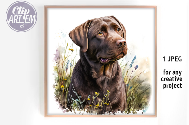 chocolate-lab-in-the-meadow-jpeg-digital-print-image-wall-decor