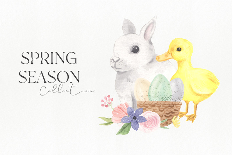 watrecolor-spring-animals-and-flowers-clipart
