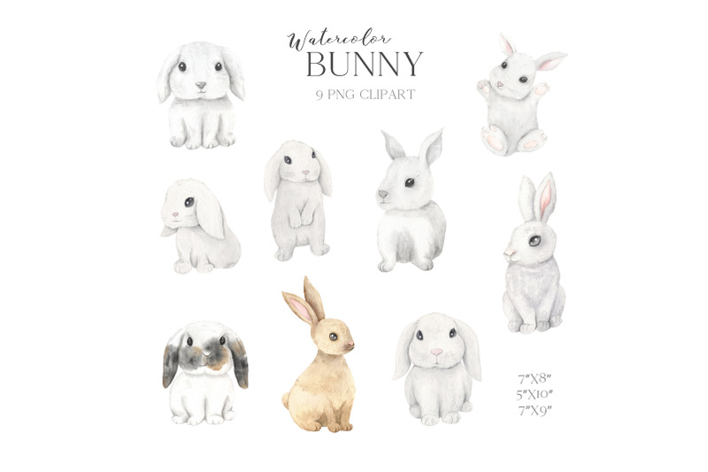 watercolor-bunny-animals-clipart
