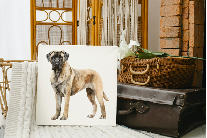 english-mastiff-dogs-clipart-png