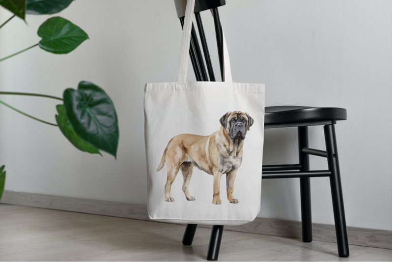 english-mastiff-dogs-clipart-png