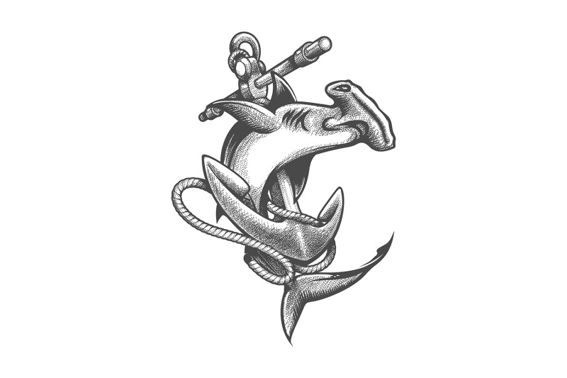 tattoo-of-hammerhead-shark-and-ship-anchor