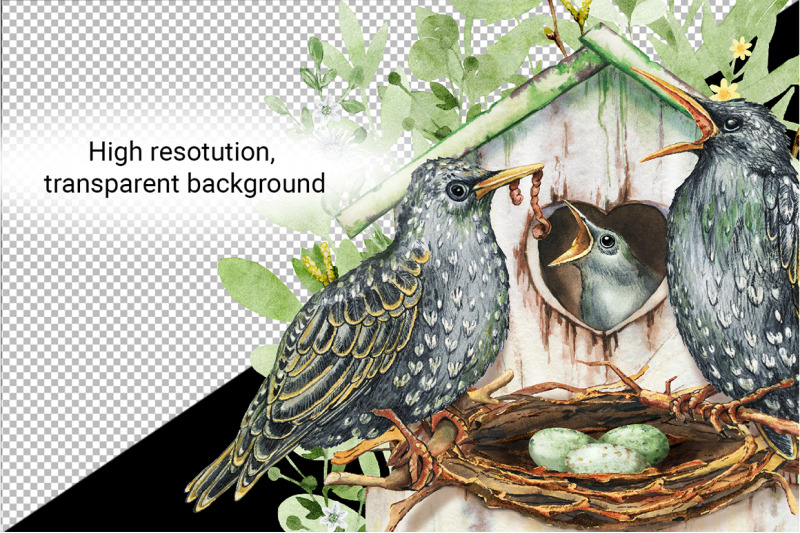 starling-bird-family-watercolor-clipart-spring-birdhouse-seamless-d