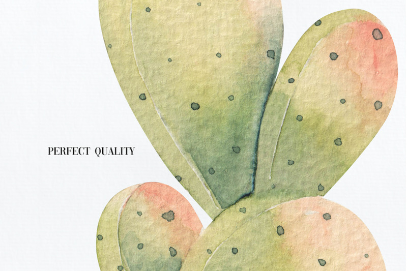 cacti-watercolor-collection