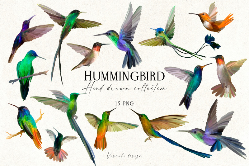 hummingbird-hand-drawn-clipart-png