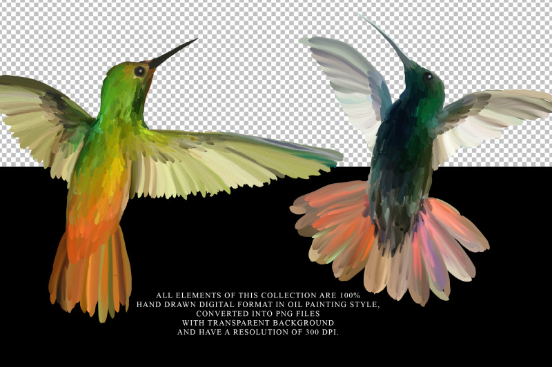 hummingbird-hand-drawn-clipart-png
