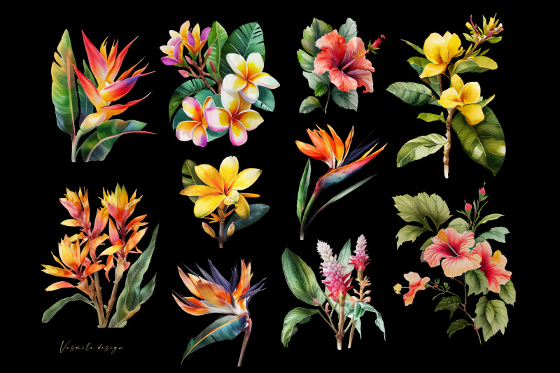 watercolor-tropical-flowers-clipart