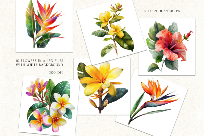 watercolor-tropical-flowers-clipart