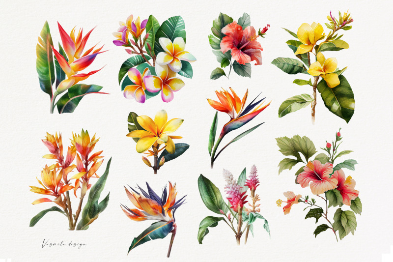watercolor-tropical-flowers-clipart