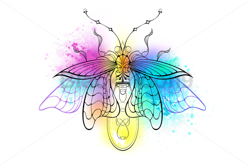 contour-firefly-on-watercolor-background