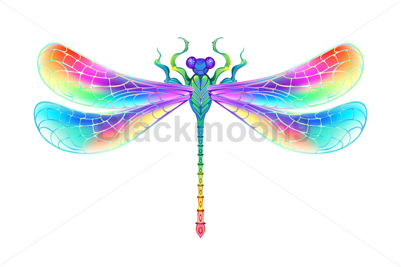 rainbow-symmetrical-dragonfly