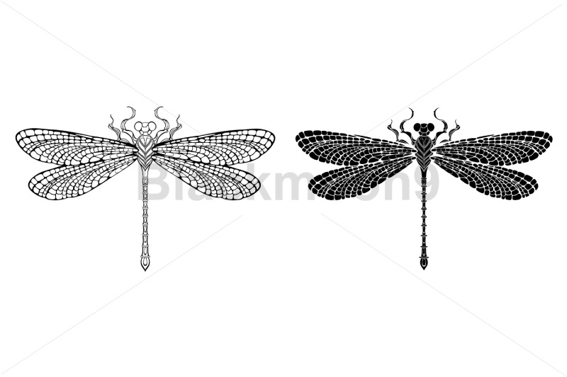 outline-dragonfly
