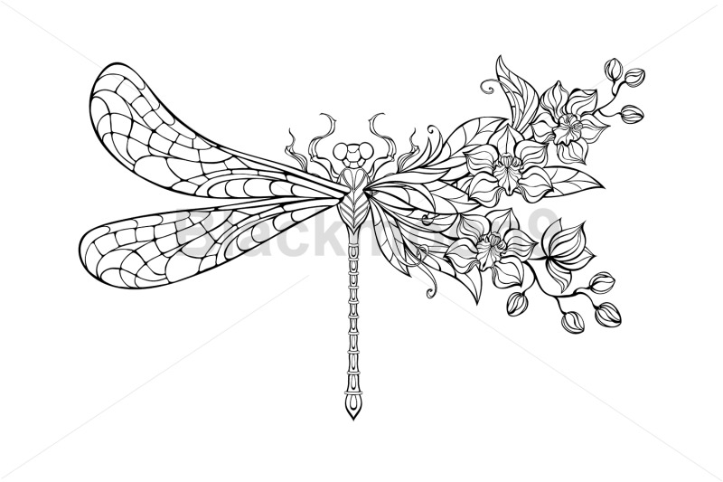 flower-dragonfly-with-contour-orchid