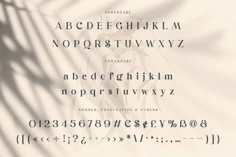 dunsmuir-modern-serif-font
